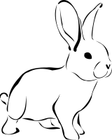Sathoney-Vet-lapin-2